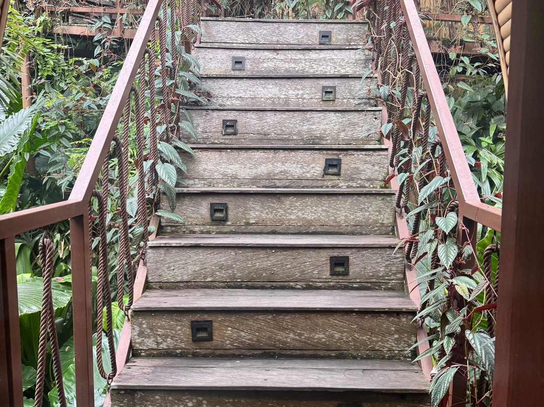 Mekar Jungle Spa Ubud Bali By K Club-Tegallalang必去景点