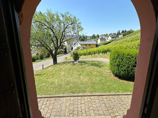 Weingut Staffelter Hof主图