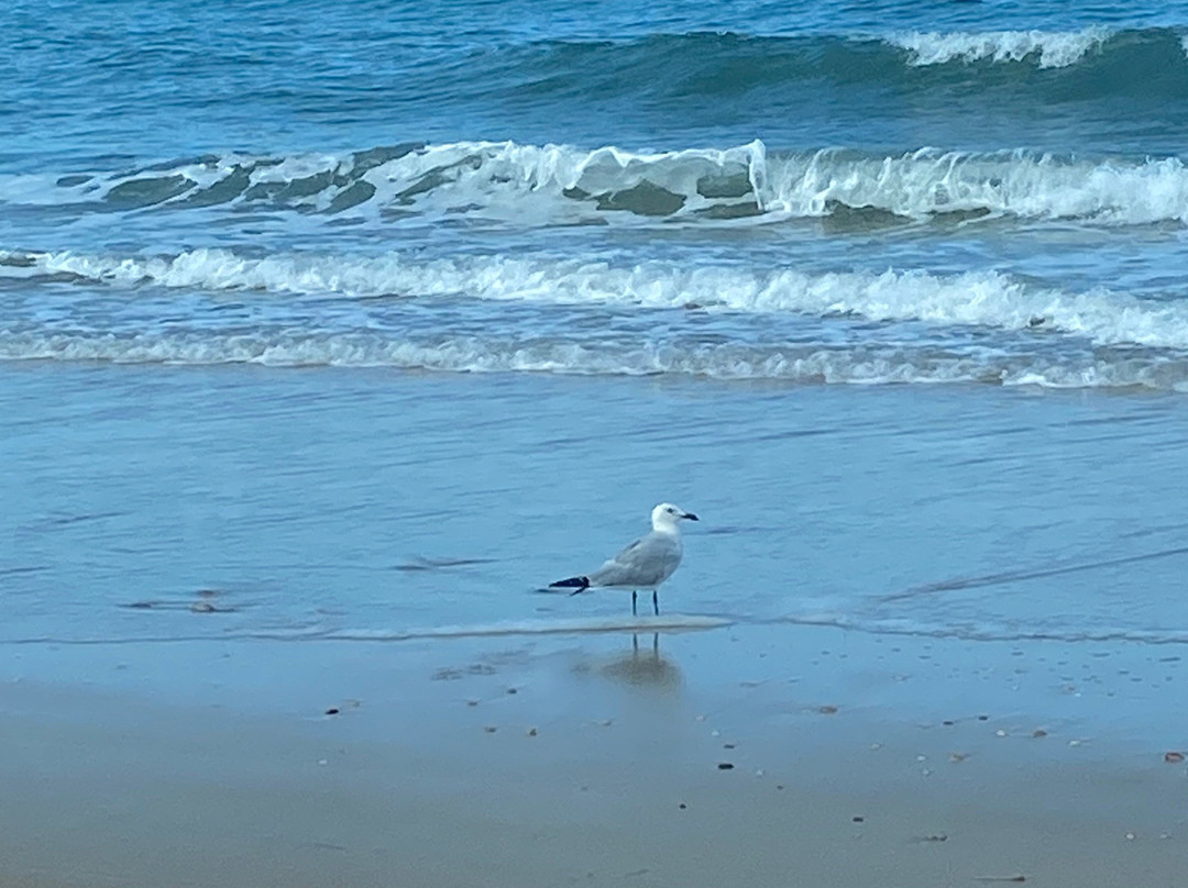 Donana Visitas-El Rocio必去景点