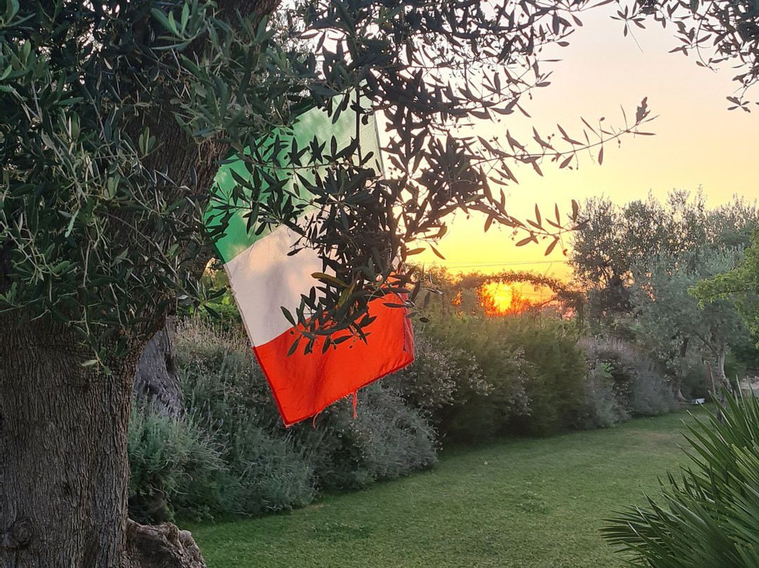 Masseria Cesarina B&B主图