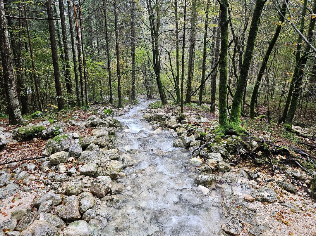 Mostnica Gorge-Stara Fuzina必去景点