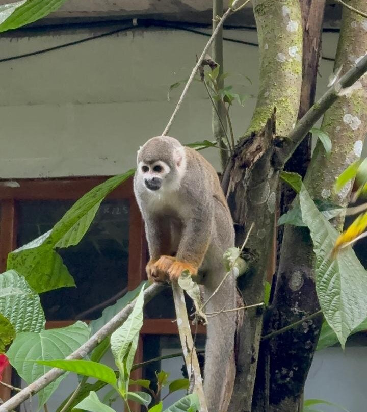 Zanja Arajuno-Puyo必去景点