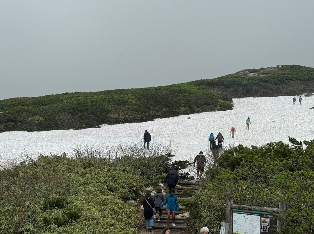 Asahidake Ropeway-东川町必去景点