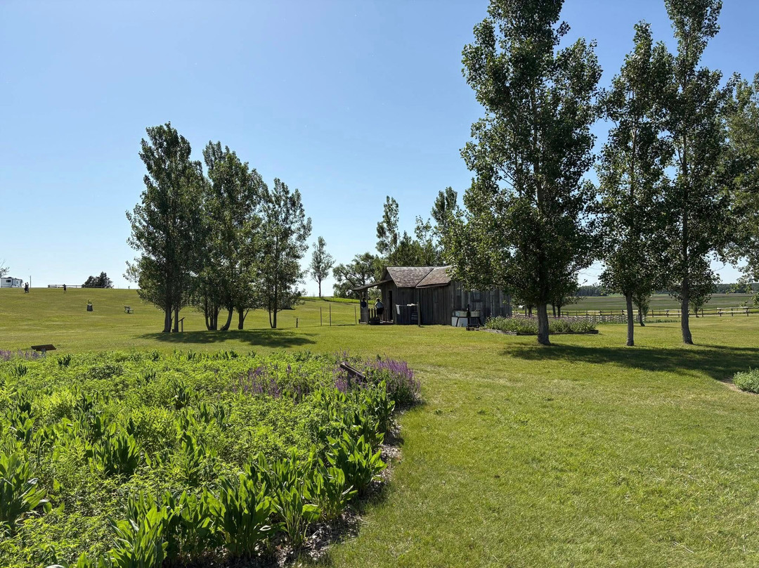 Ingalls Homestead - Laura's Living Prairie-De Smet必去景点