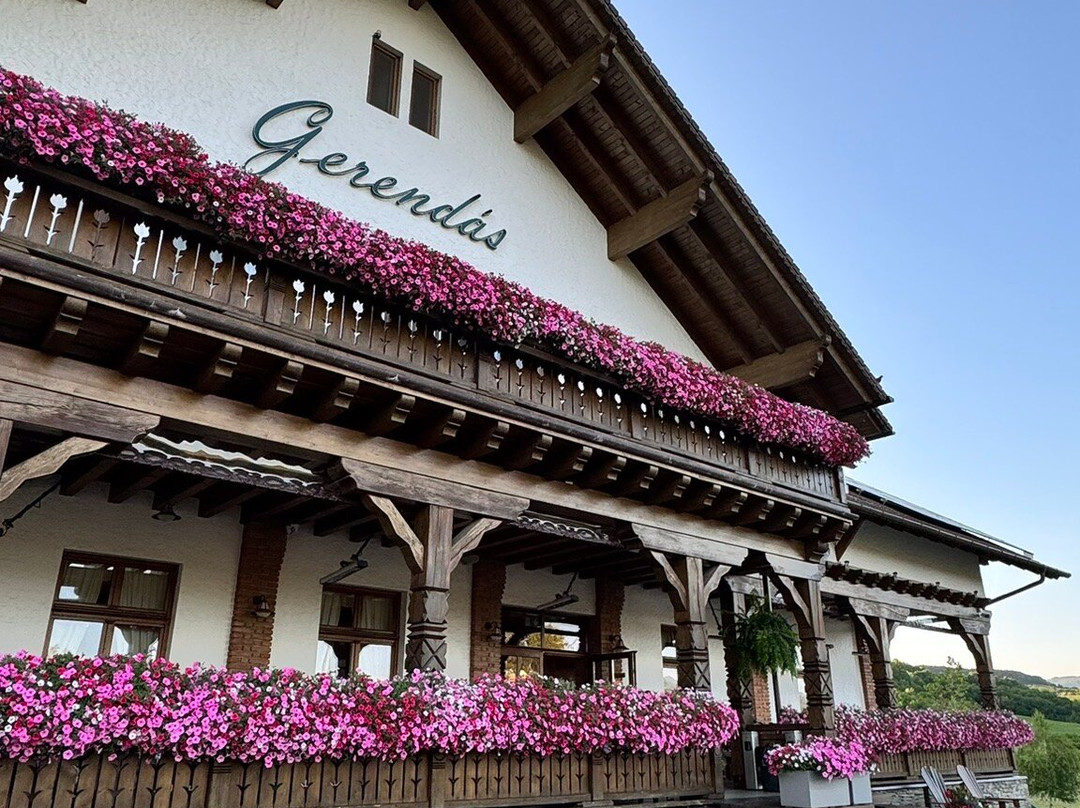 Gerendas Panzio主图