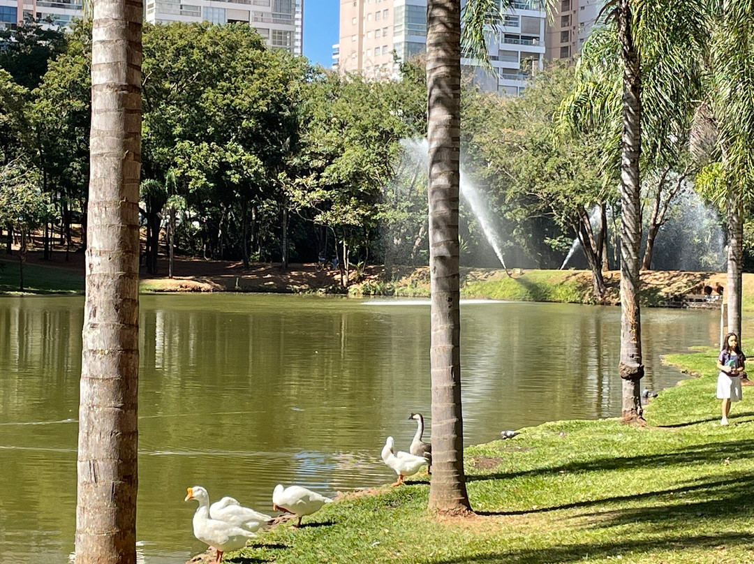 佛莱姆博雅特公园-戈亚尼亚必去景点