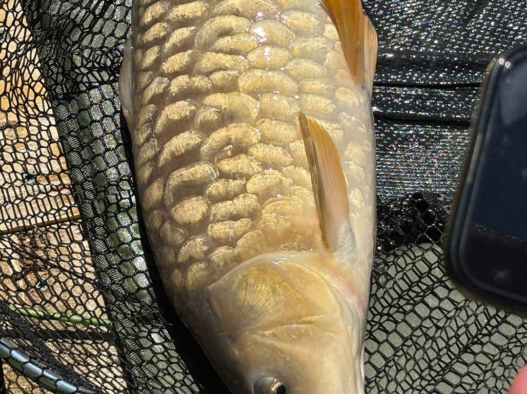 Kingslakes Holiday Cottages-埃克塞特必去景点