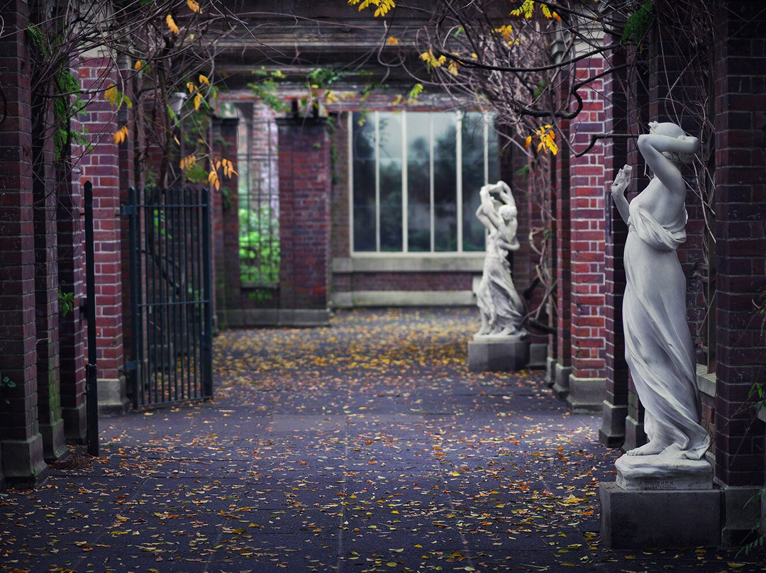 Winter Garden Auckland Domain-奥克兰中心地区必去景点