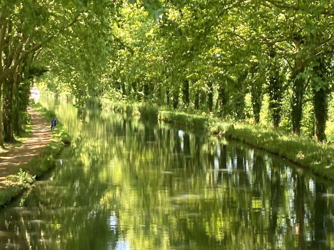 Cycles Sud-Ouest-Buzet-sur-Baise必去景点