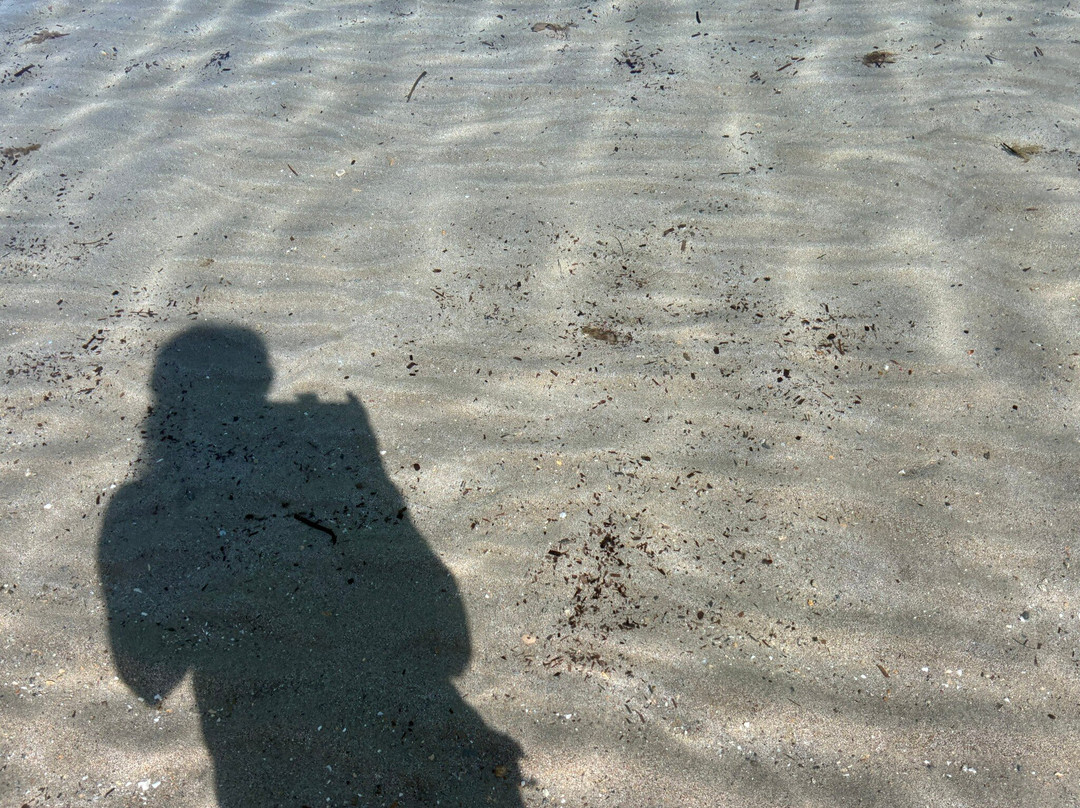 Eglina Beach-凯法利尼亚岛必去景点