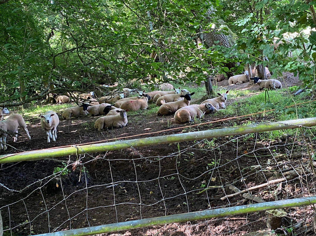 Lower Thornton Farm主图