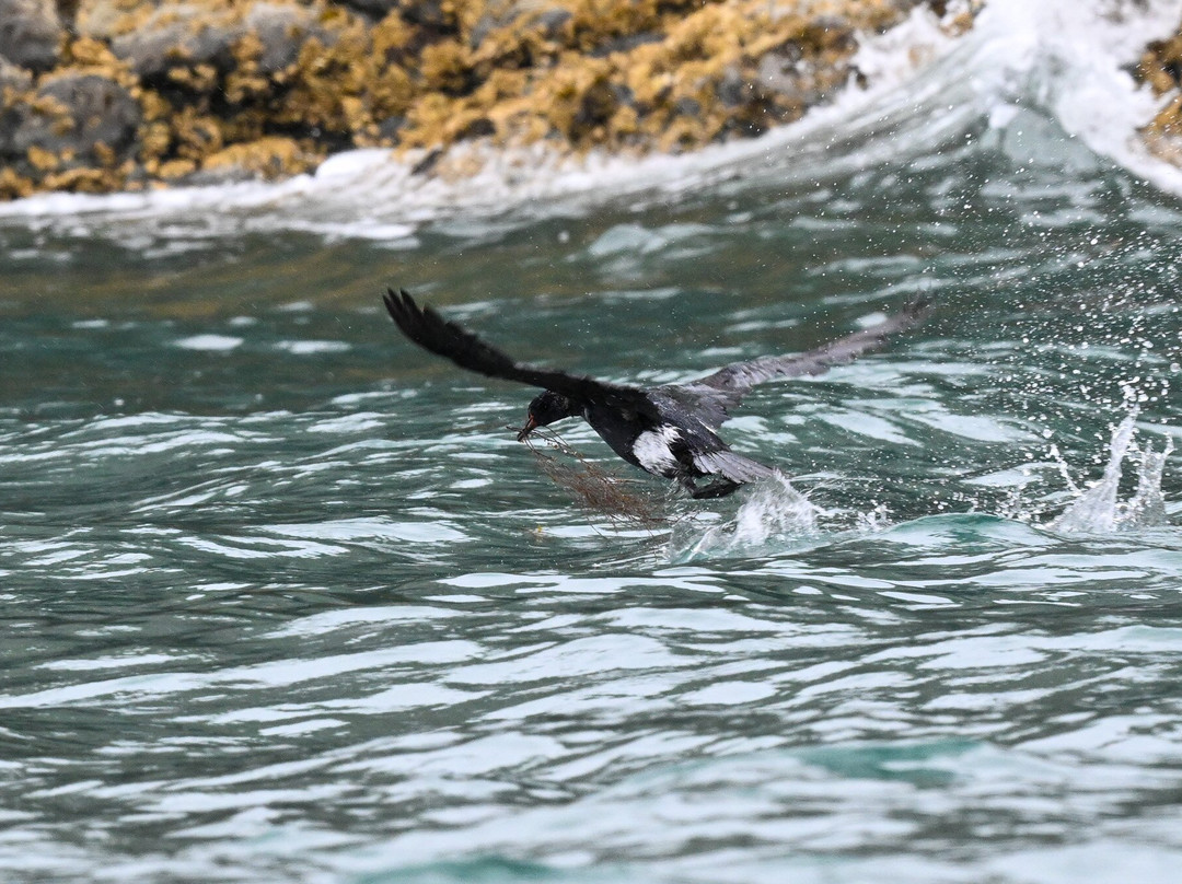 Tutka Tours-荷马必去景点