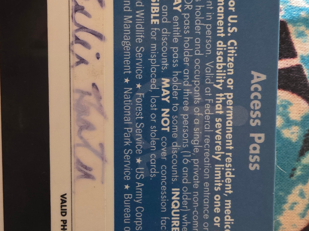 Salt Springs Recreation Area-Salt Springs必去景点