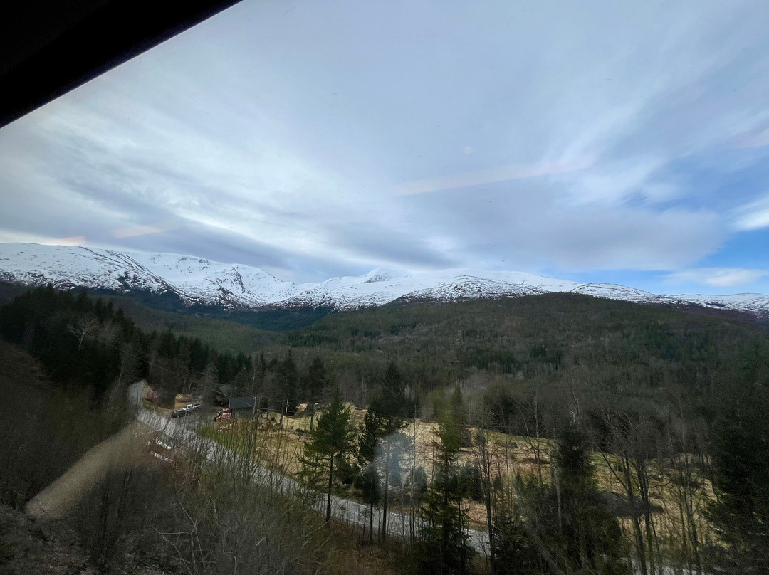 Bergen to Oslo Train Ride-卑尔根必去景点