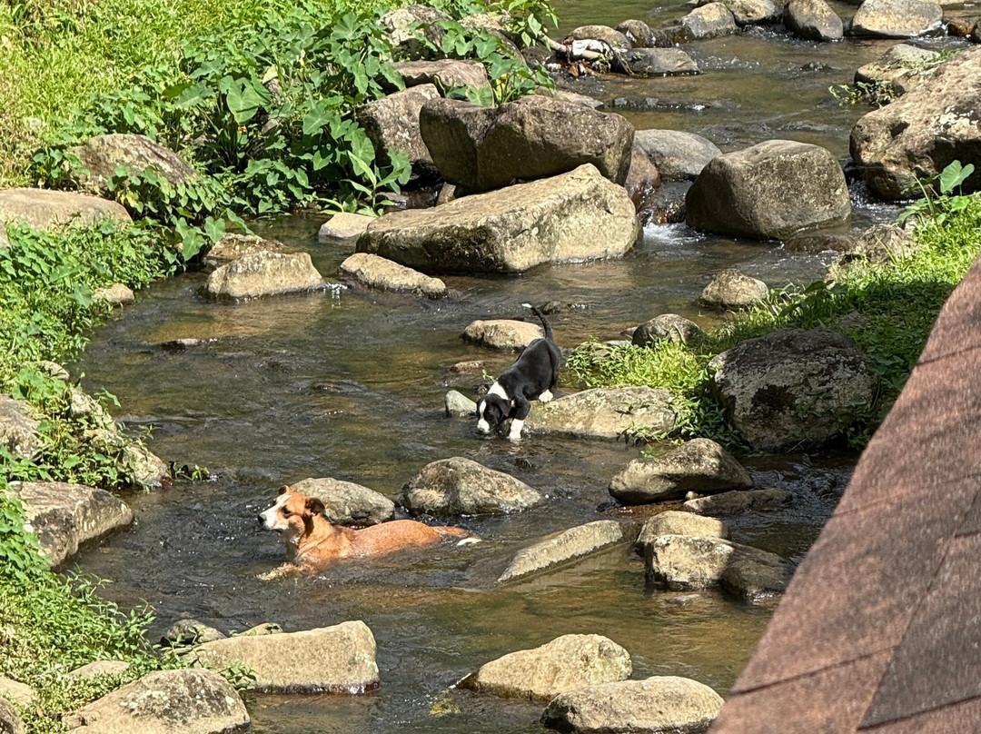 Guavate-Cayey必去景点