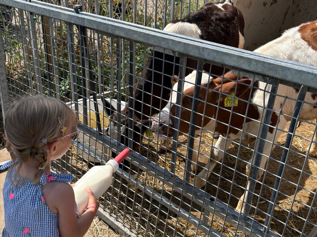 Harm's Hoeve-Malden必去景点