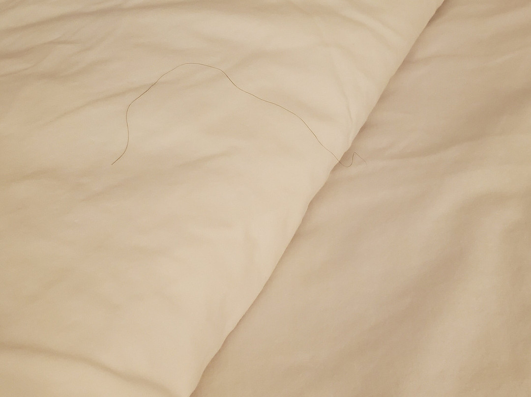 Hampton Inn Atlantic City/Absecon主图