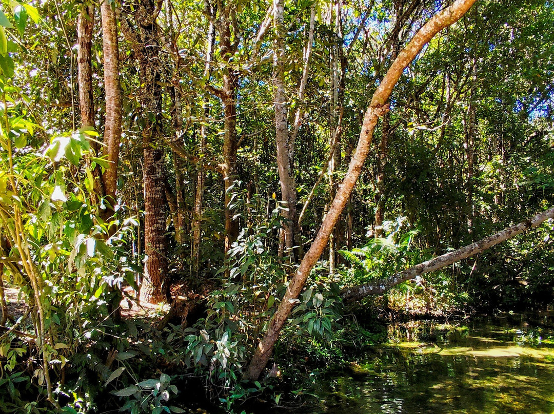 巴西利亚国家公园 (Agua Mineral)-巴西利亚必去景点
