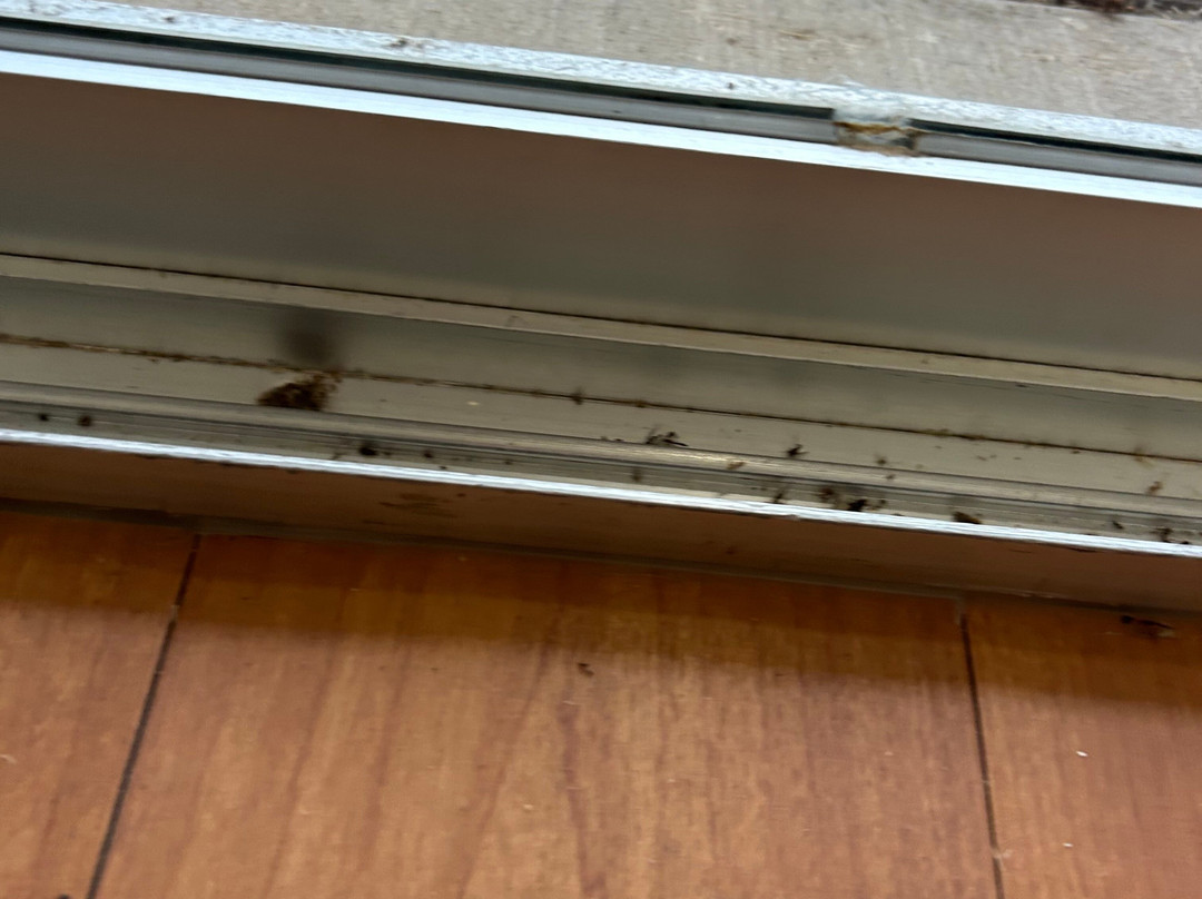 Kentucky Dam Village State Resort Park - Lodging主图