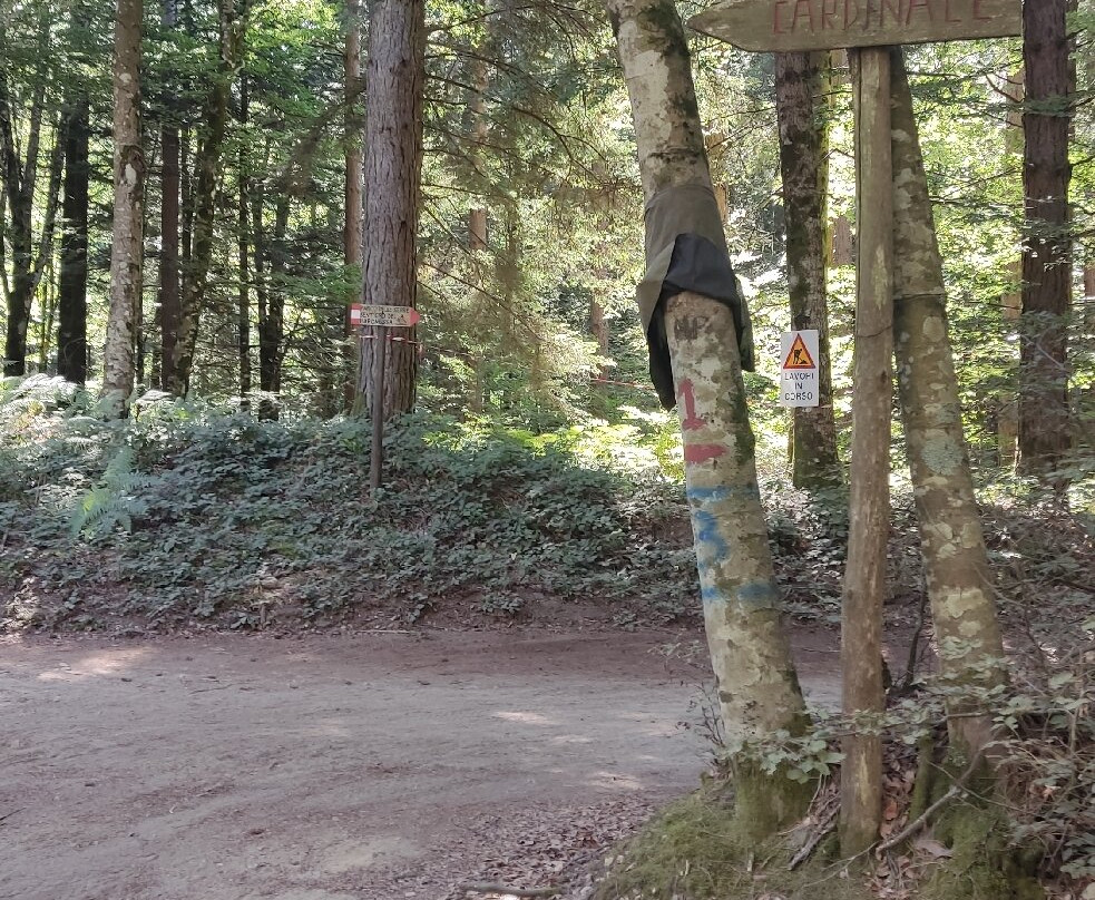 Parco Naturale Regionale delle Serre-Serra San Bruno必去景点