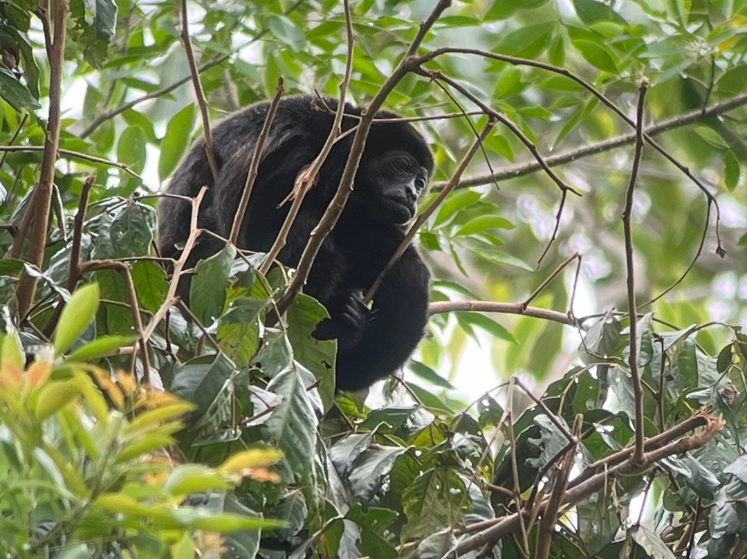 Casita y Tours Happy Feet主图