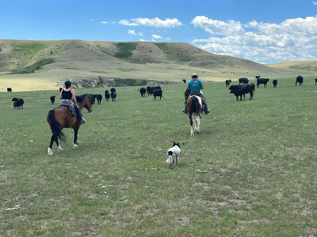 DeBoo Ranch Adventures-Valier必去景点