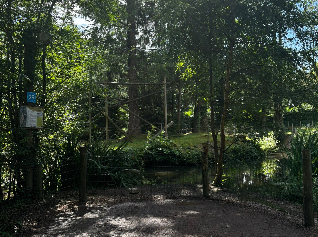 Zoo de Jurques-Jurques必去景点