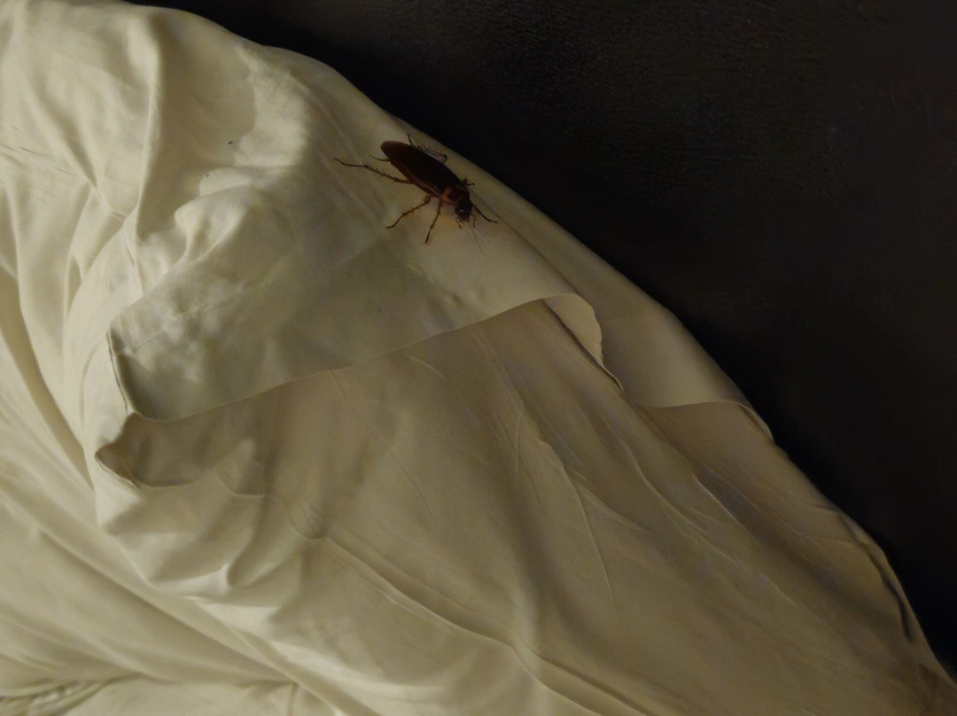 Evita Resort Hotel主图