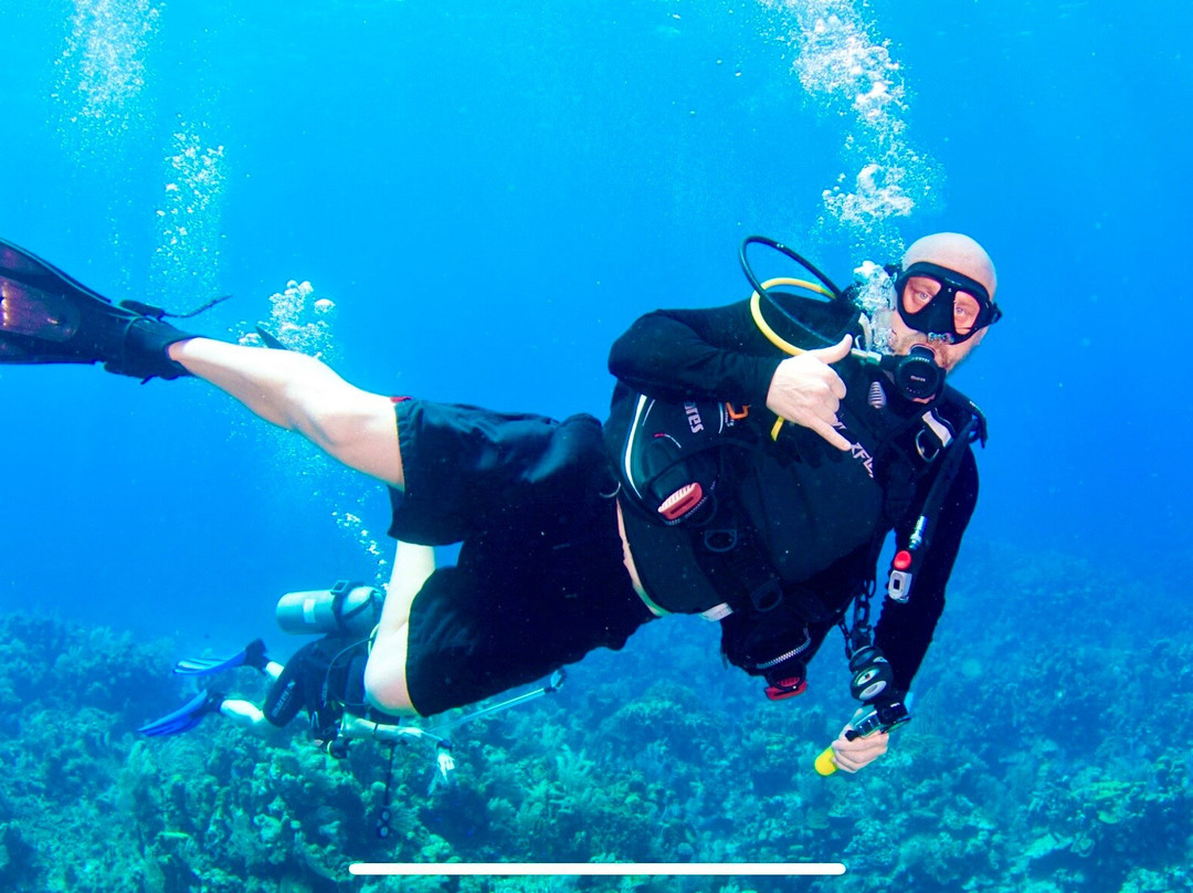 帆鱼潜水-拉哥岛必去景点