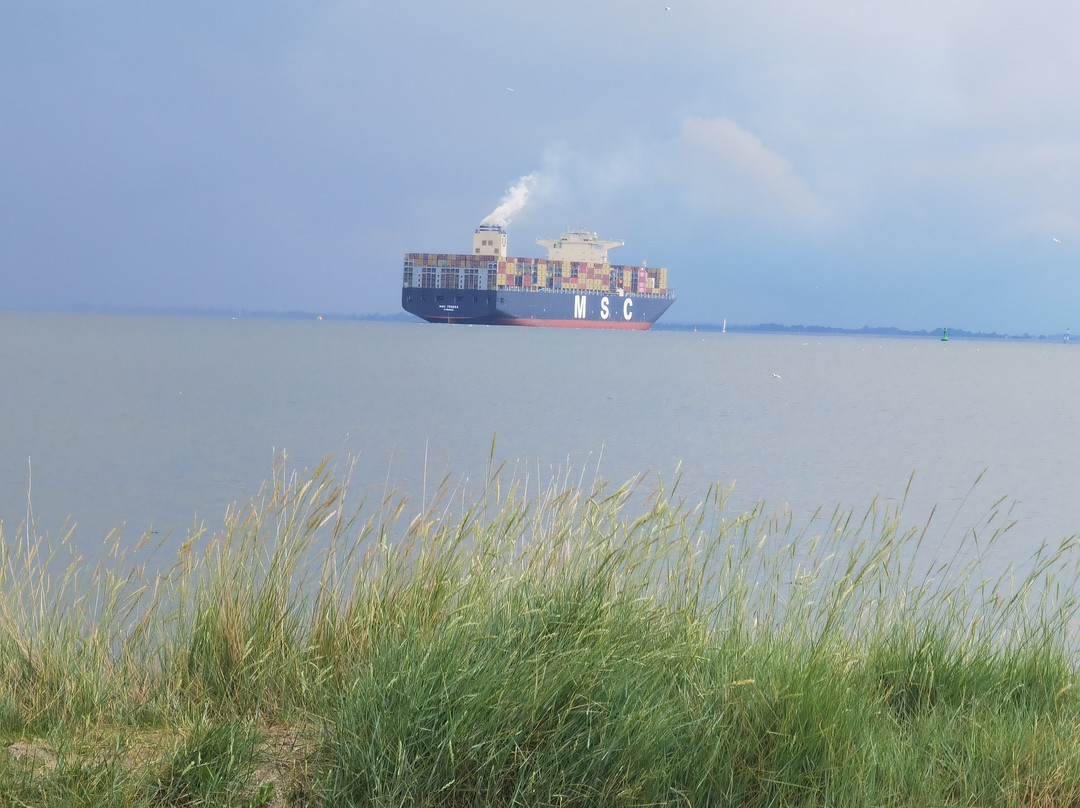 Strand Grimmershörn-库克斯港县必去景点