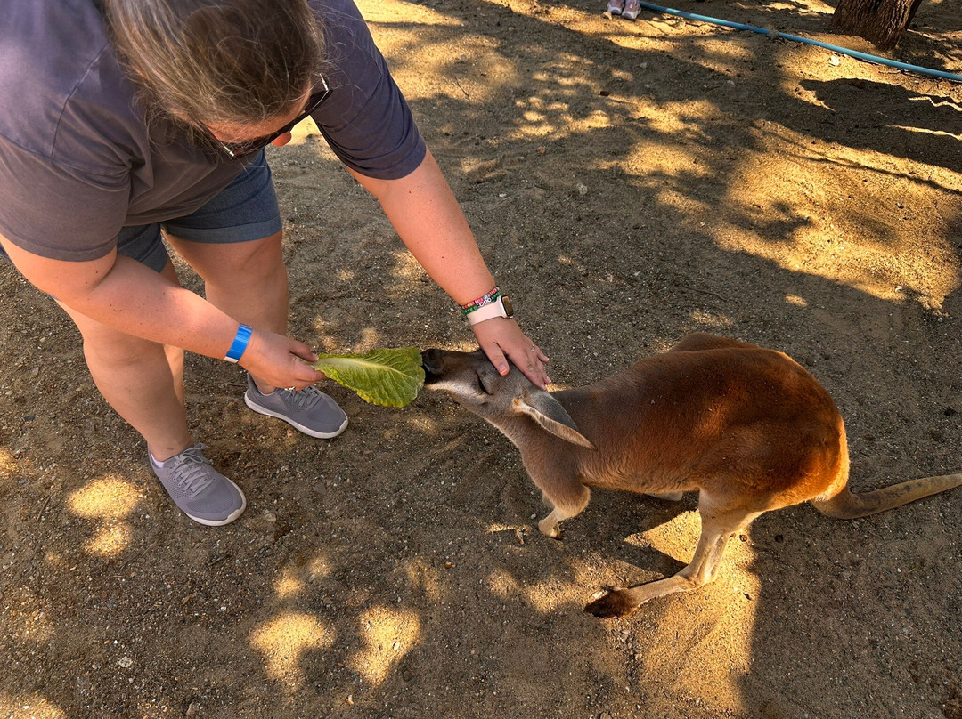 Beavers Bend Safari Park-Hochatown必去景点