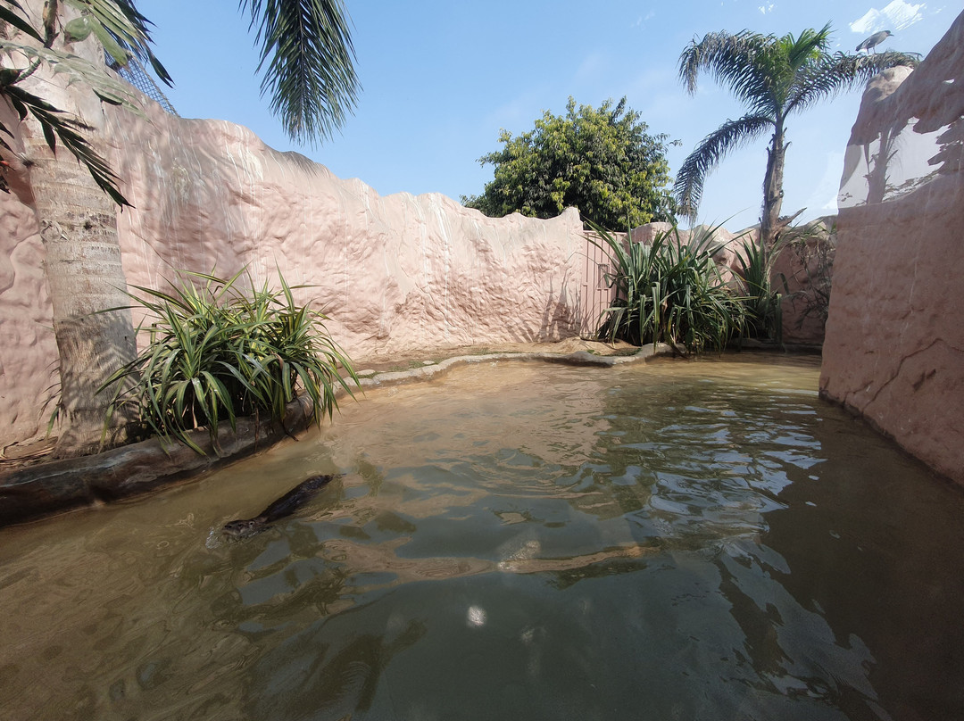 Parque Zoologico Huachipa-利马必去景点