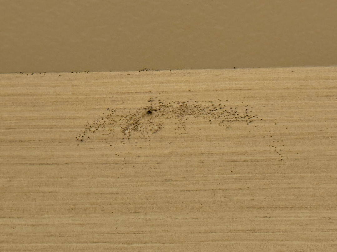 罗克斯普林斯希尔顿恒庭酒店主图