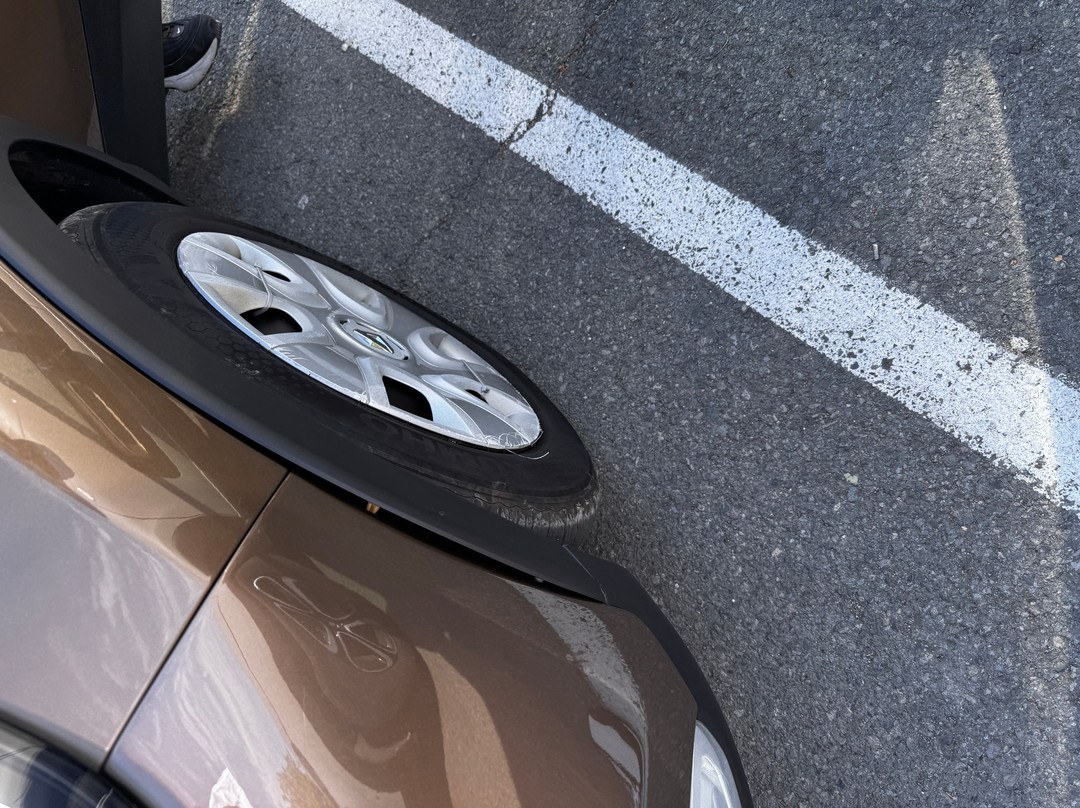 Easy Rent Bulgaria-索非亚必去景点