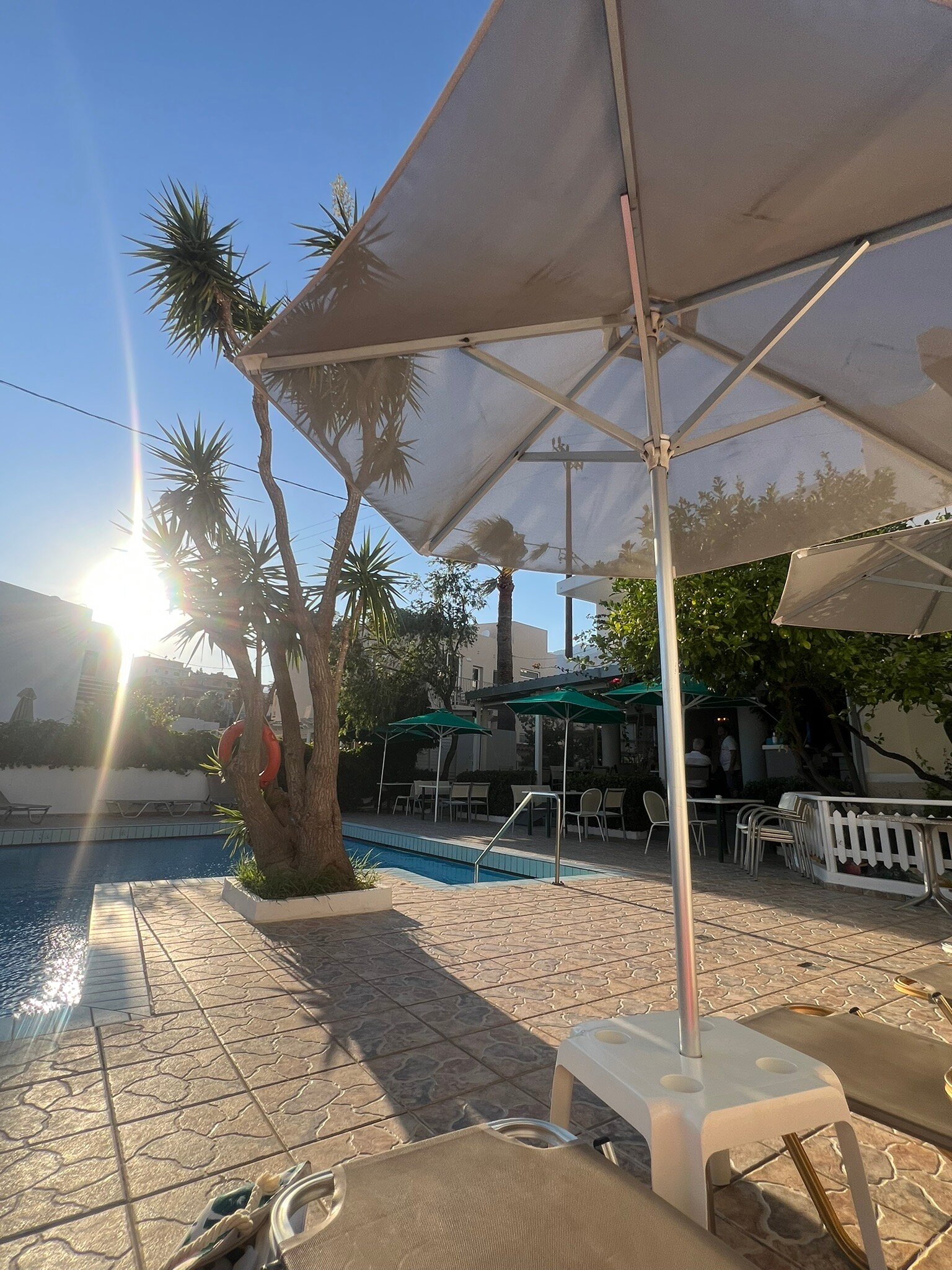 Costas & Chrysoula-官方