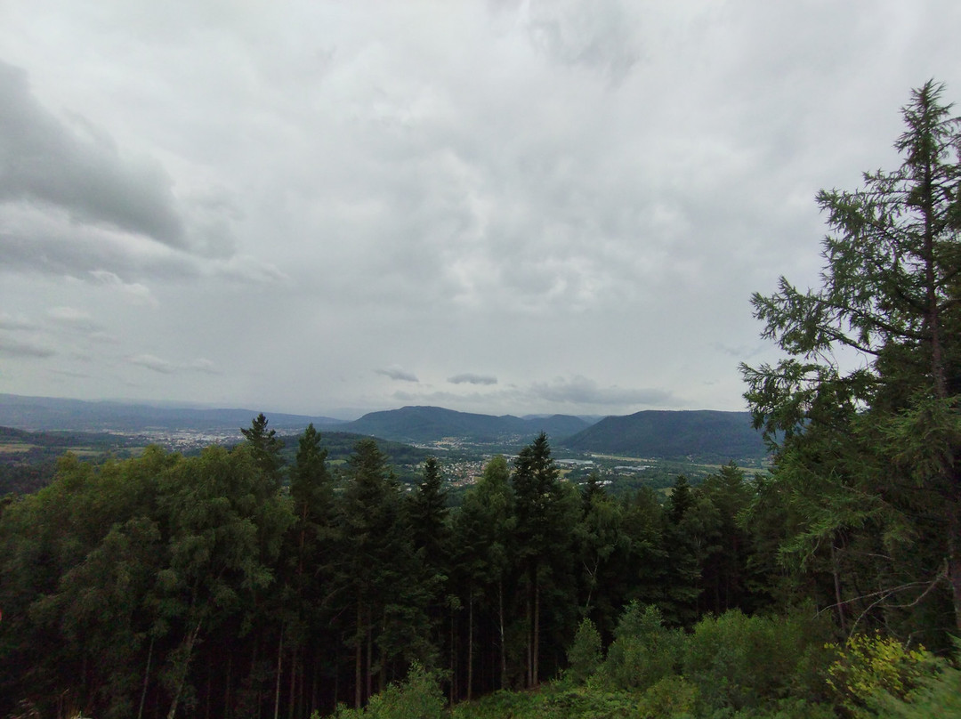 Camp celtique de la Bure-孚日圣迪耶必去景点