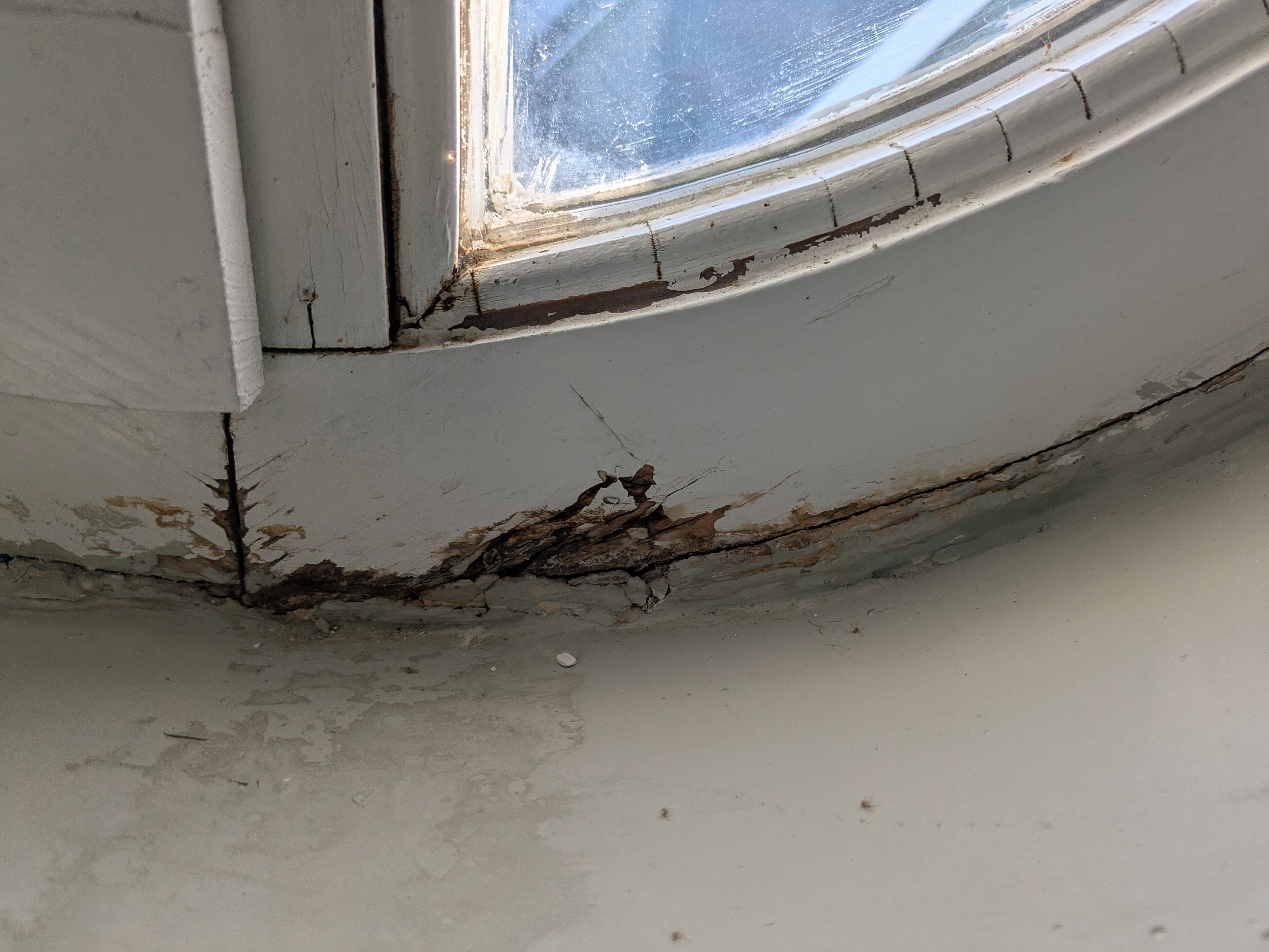 Zoldhaz Bio Panzio-官方