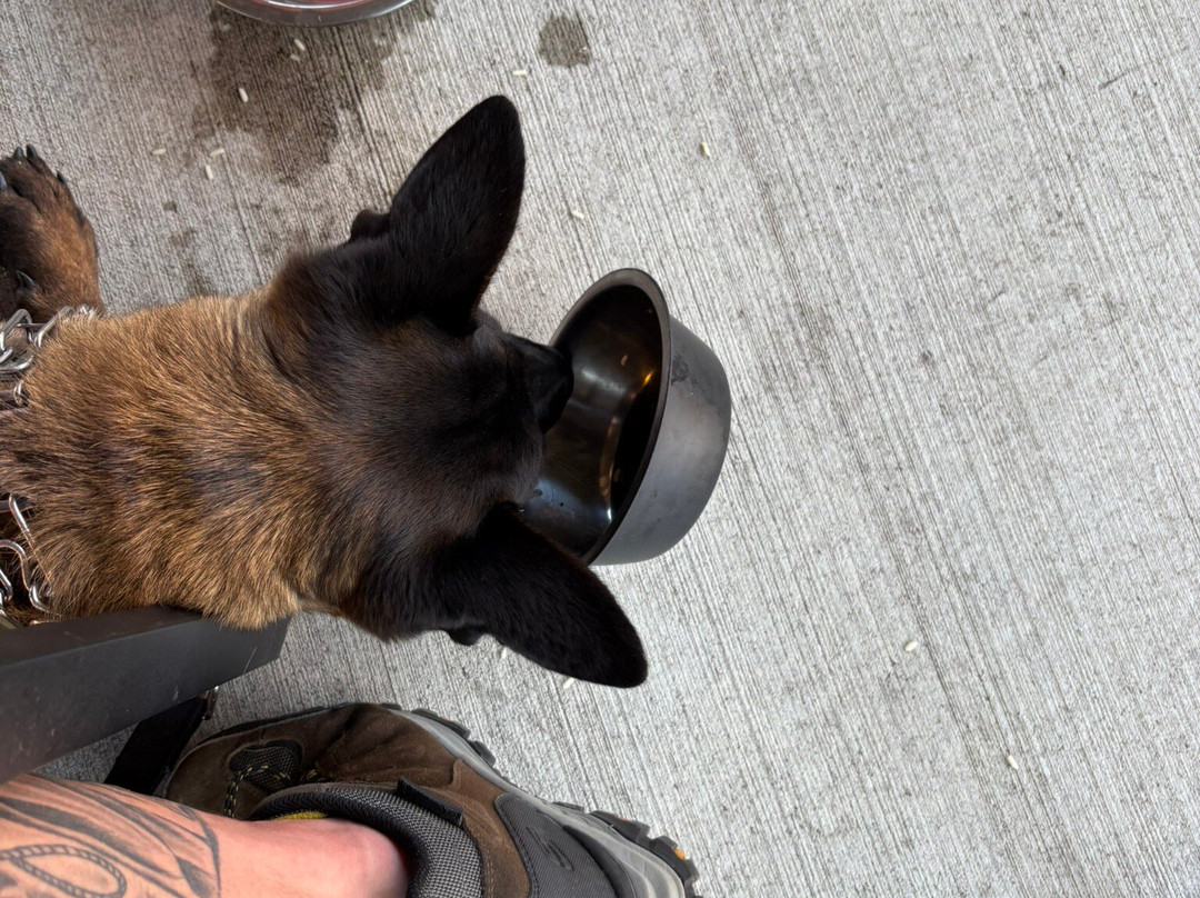 Tattersall Craft Cocktail Bar & Eatery-River Falls必去景点