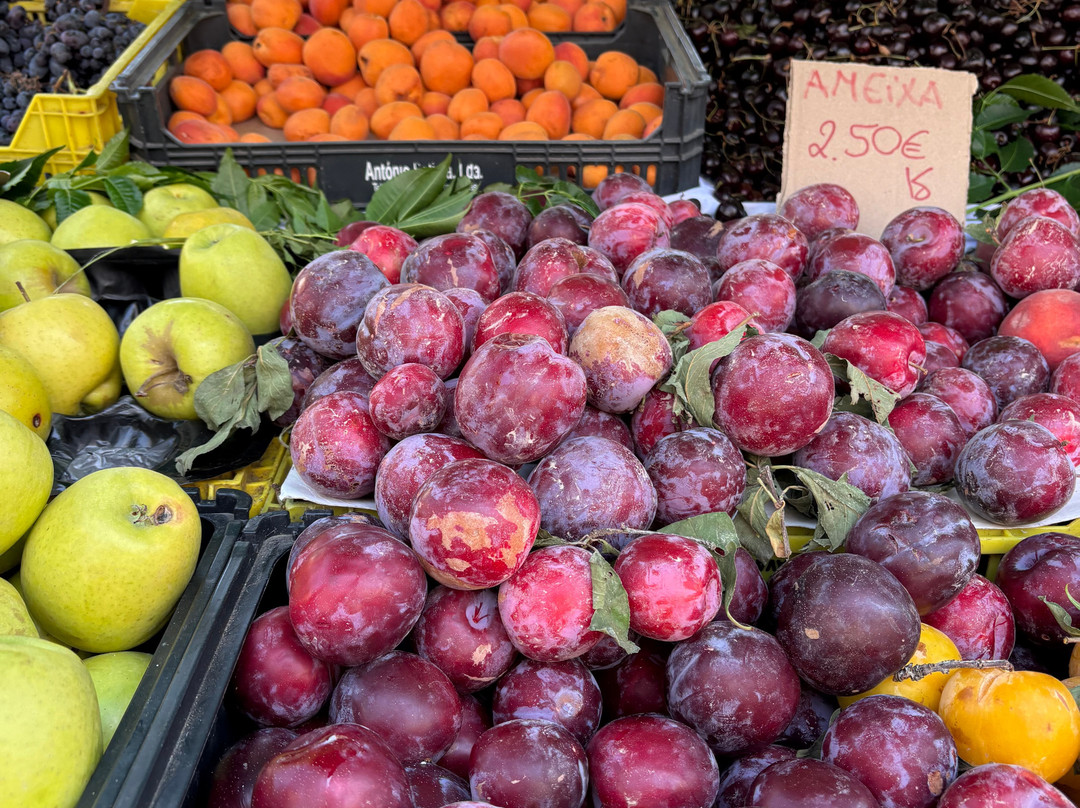 Feira de Espinho-Espinho必去景点