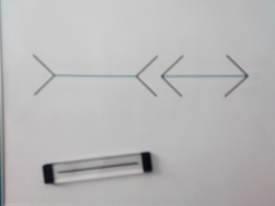 Museum of Illusions-维也纳必去景点