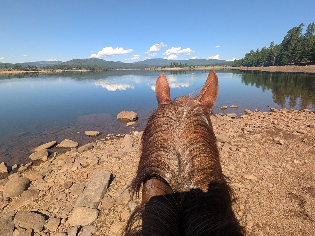 Piping Rock Equestrian Center-特拉基必去景点