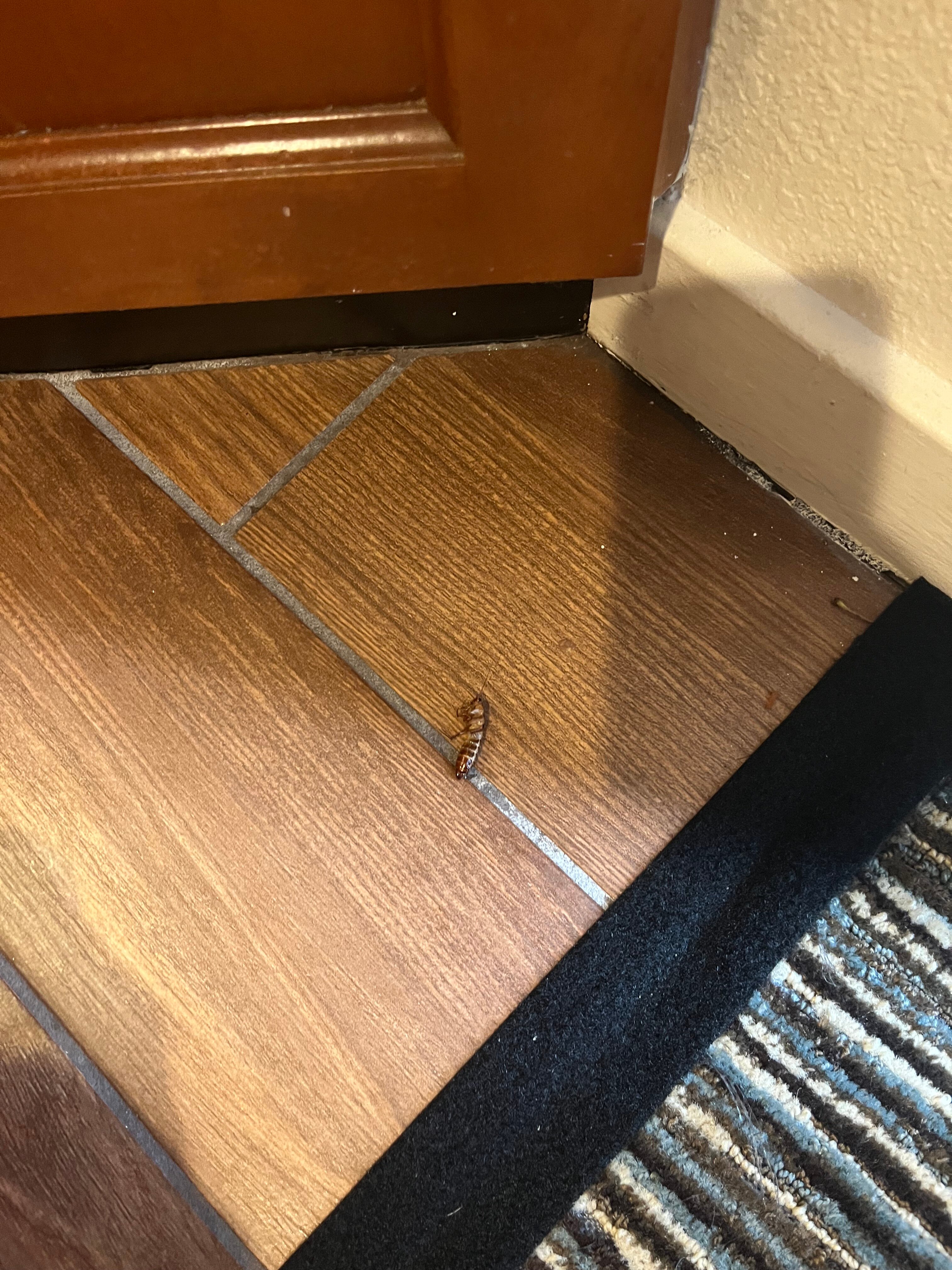 普莱森顿凯悦酒店-客卧