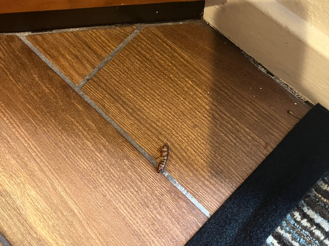 普莱森顿凯悦酒店主图