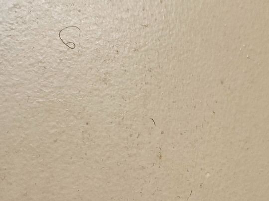 Extended Stay America - Philadelphia - Horsham - Dresher Rd.主图