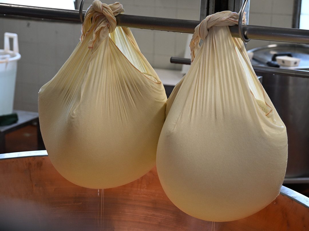 Borgo del Gazzano-帕尔马必去景点