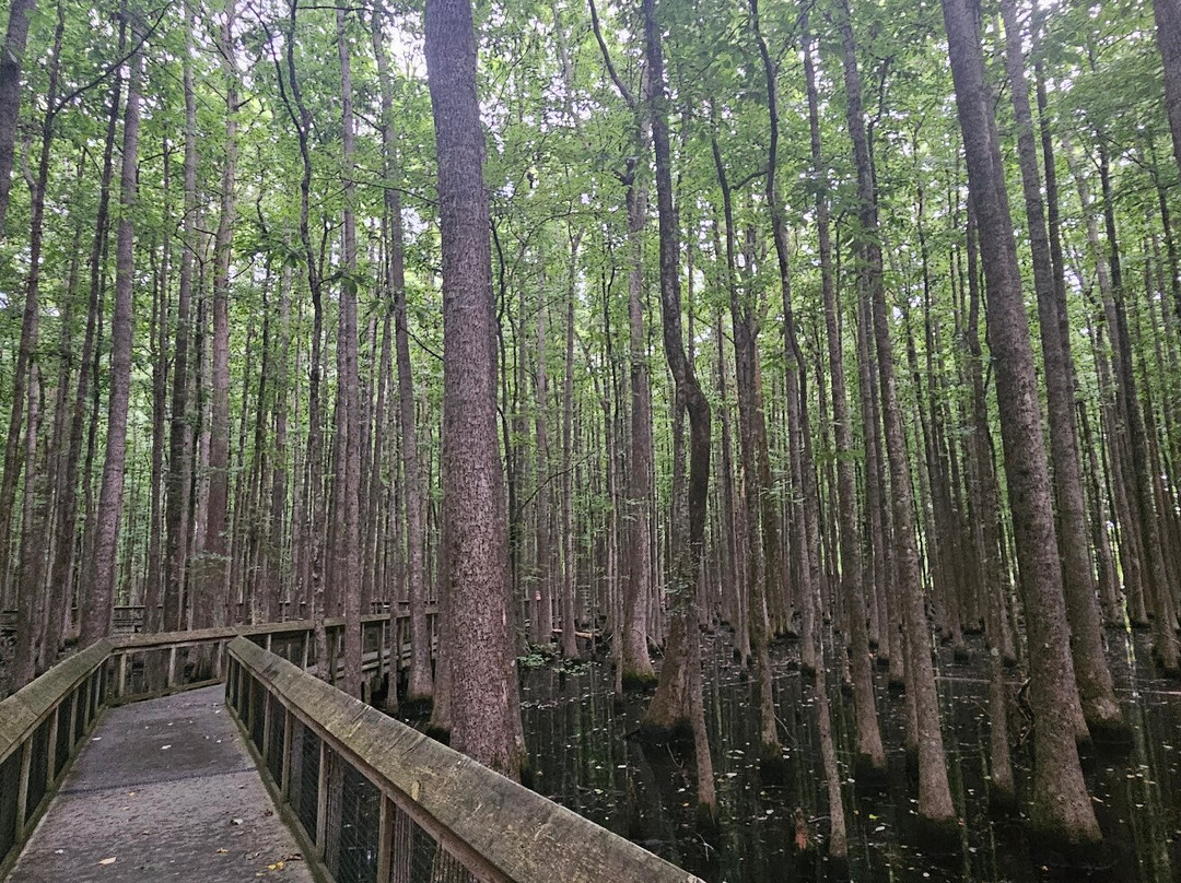 Louisiana Purchase State Park-Brinkley必去景点