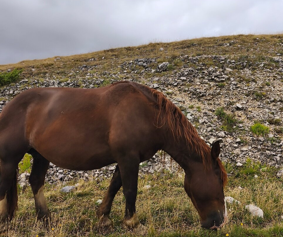 Gran Sasso-阿布鲁佐必去景点