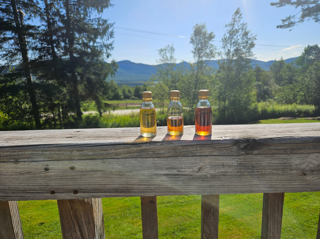 Mountain Top Resort主图