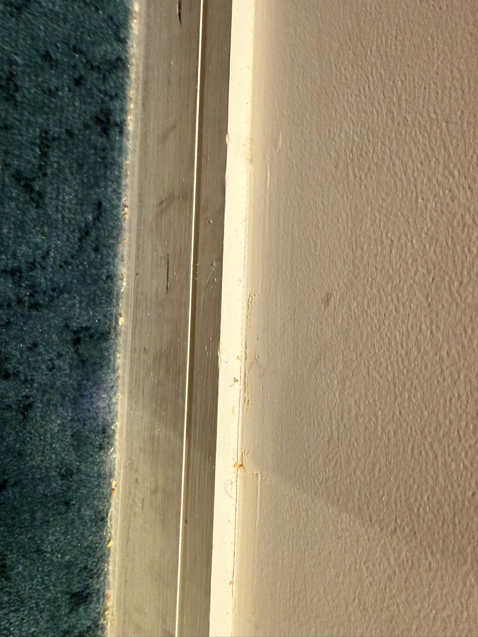 惠灵顿下赫特诗铂高级服务公寓-官方