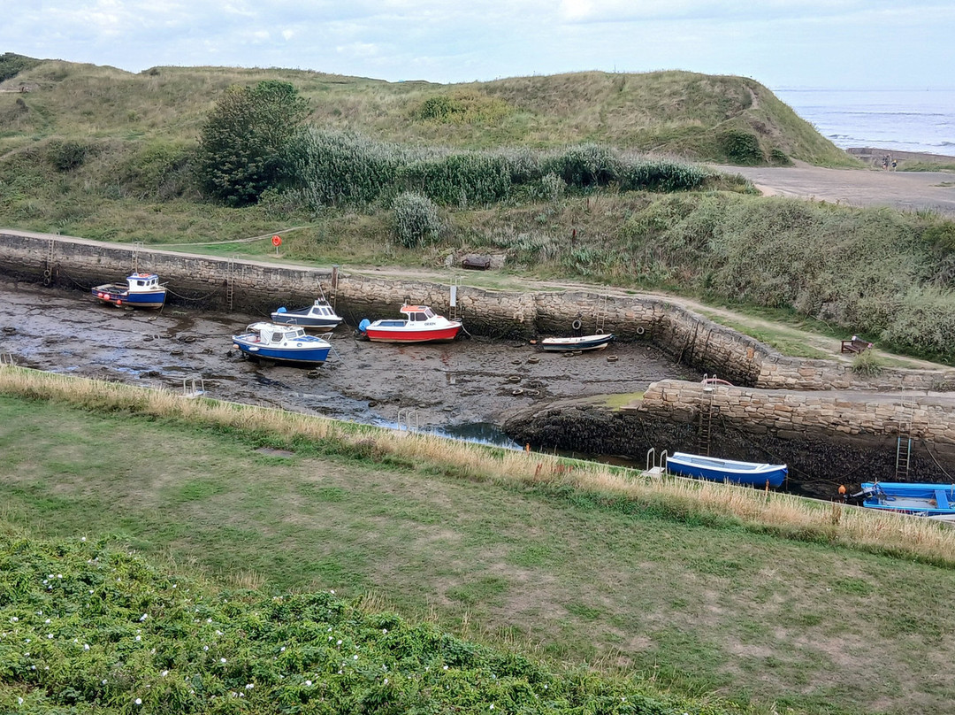 Waterford Arms主图